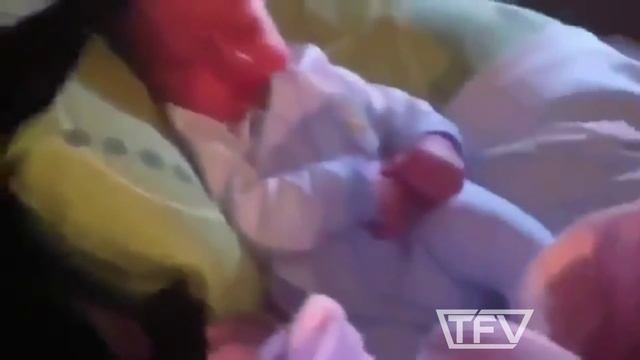 Кошка успокаивает ребенка