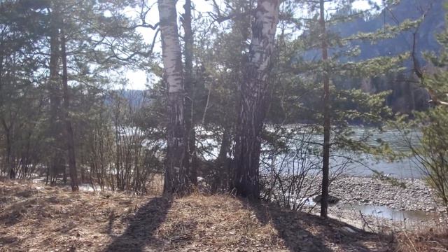 Природа Горного Алтая смотреть онлайн