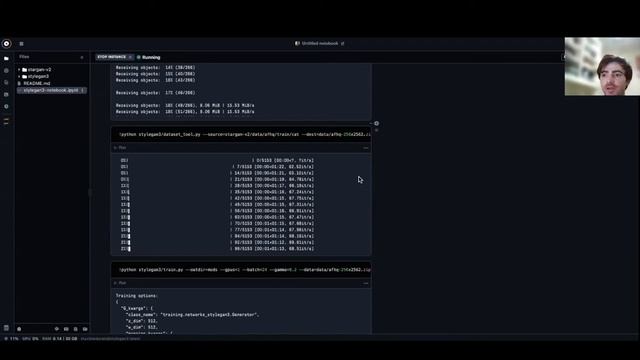 Running StyleGAN3 on Gradient Notebooks смотреть онлайн