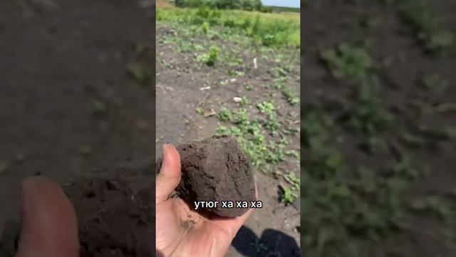 Нашли старинный утюг на месте заброшенной деревни смотреть онлайн