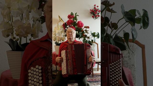 Одинока ночь. Беспокойна ночь. кавказский хит. смотреть онлайн