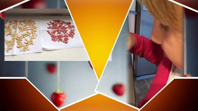 LOVE STORY. Внучка Виолетта и клевая бабушка.Создать слайд шоу. смотреть онлайн