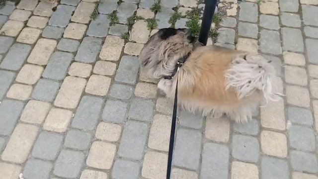 Где отец в этих суровых условиях? смотреть онлайн