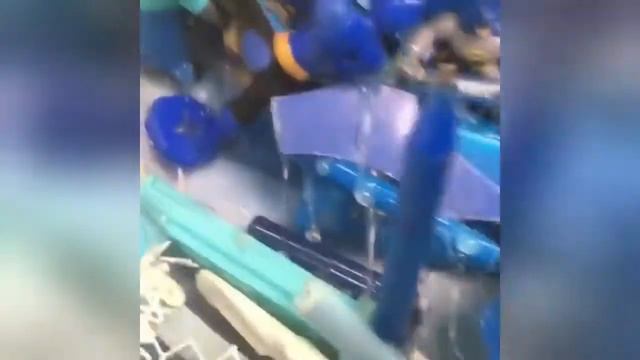 НОВЫЕ ВИДЕО ПРИКОЛЫ 2019 про собак, кошек, людей СМЕШНАЯ ОЗВУЧКА смотреть онлайн