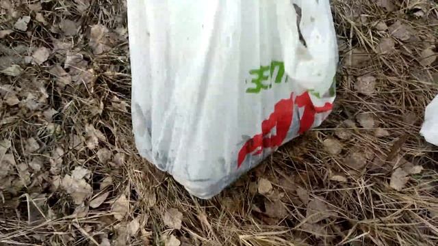 Иж планета Восход 3м01 Карась на придуху Зарыбление озера смотреть онлайн