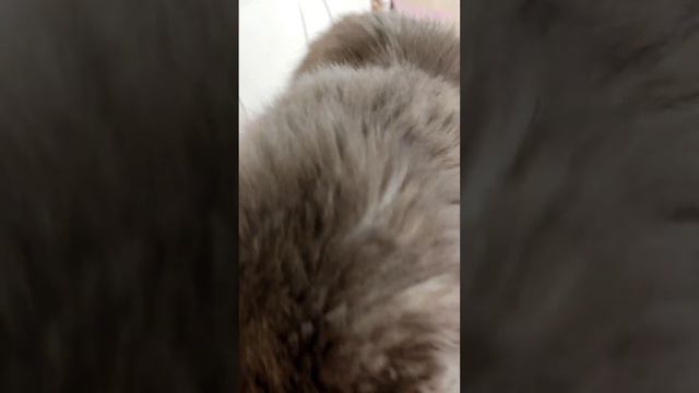 Эрик , мамин помощник. Смена постельного белья. смотреть онлайн