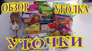 ОБЗОР УГОЛКА УТОЧКИ!