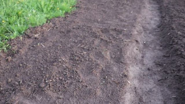 Что посадила на 1 сотке в одиночку. Мой огород! смотреть онлайн