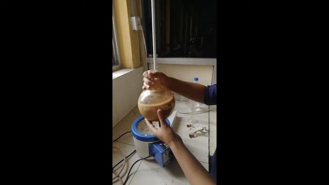 Essential Oil Extraction | Clevenger Apparatus | Hydro Distillation | Ginger Oil Content |Experimen