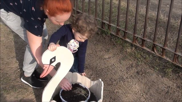 Зеленая Весна 2018 смотреть онлайн