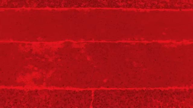 Щетинський Степанович (Alexander Shchetynsky) : Cryptogram (1989) смотреть онлайн