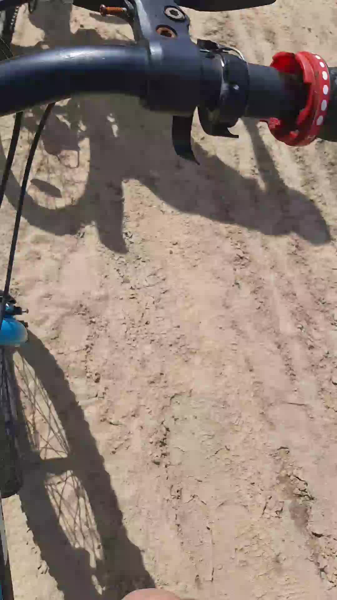 катаемся на великах