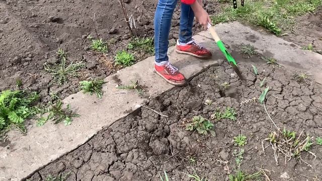 МОИ ПОКУПКИ ДЛЯ ДАЧИ/ЧТО Я КУПИЛА?/ОБЗОР ПОКУПОК ДЛЯ ДАЧИ/ОДНА НА ДАЧЕ/КУПИЛА ЗАБРОШЕННУЮ ДАЧУ смотреть онлайн