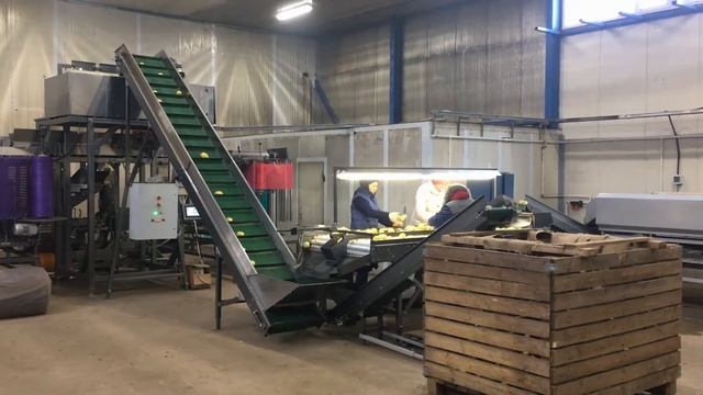 Линия для упаковки картофеля смотреть онлайн