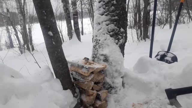Поползни добывают еду смотреть онлайн