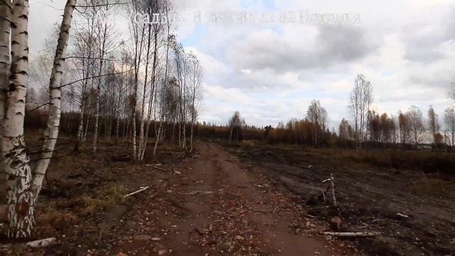 Участки у леса в коттеджном посёлке "У Алешково" Ярославль смотреть онлайн