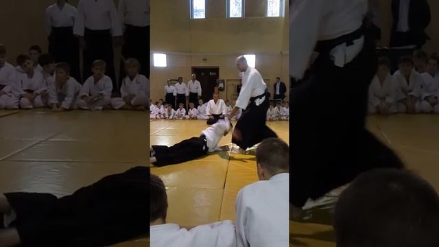 3-й Байкальский фестиваль айкидо. Клуб Айкидо Кобукан смотреть онлайн