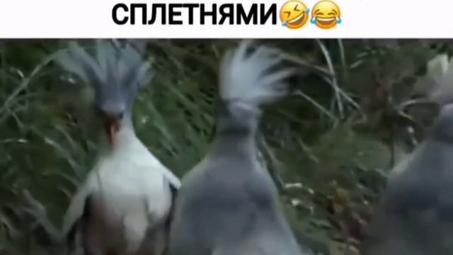 Бегу к подруге смотреть онлайн