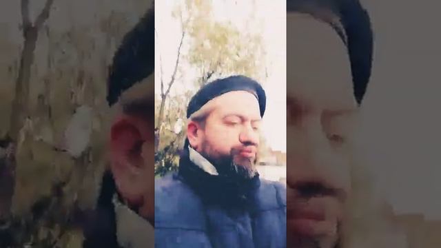 Как стать мудрым, а лучше премудрым? смотреть онлайн
