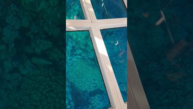 ЛОДКА С ПРОЗРАЧНЫМ ДНОМ SEA SCOPE смотреть онлайн