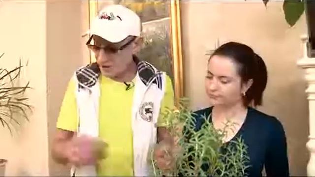 Выращиваем розмарин.Сергей Богатский: уДАЧное решение смотреть онлайн