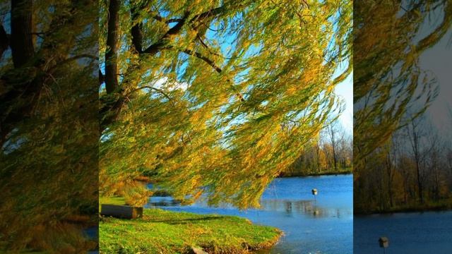 Антонио Вивальди лето август(времена года) смотреть онлайн
