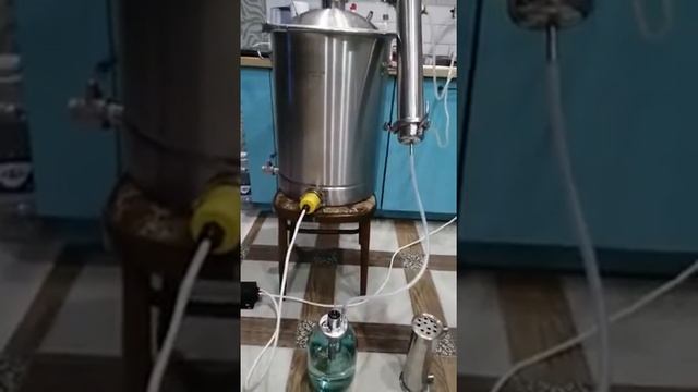 Отзыв на попугай смотреть онлайн