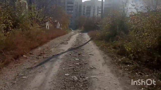 Иду Покупать Новый Корм Своей Крысе (Влог#8) смотреть онлайн