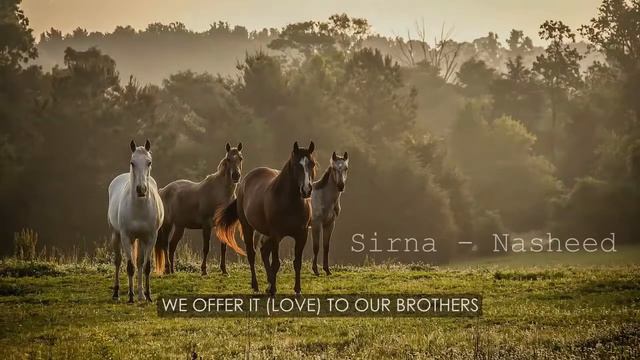 Очень красивый нашид Sirna смотреть онлайн