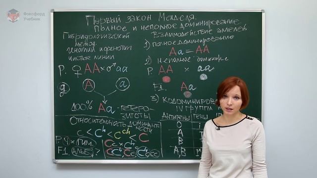 Первый закон Менделя. Типы взаимодействия аллельных генов. Центр онлайн-обучения «Фоксфорд» смотреть онлайн
