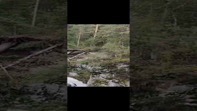 Водопады Алтая.mp4 смотреть онлайн