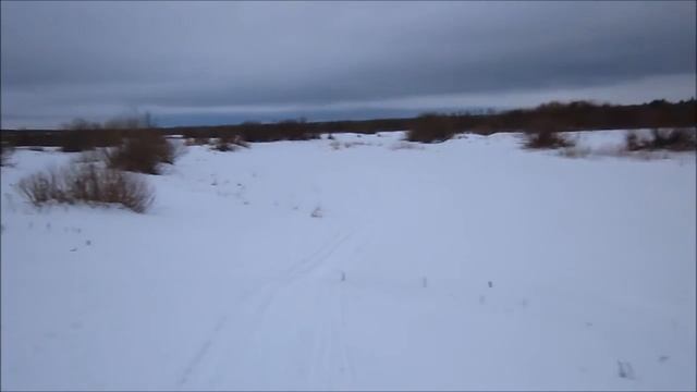 На лыжах по Ветьме до Десны смотреть онлайн