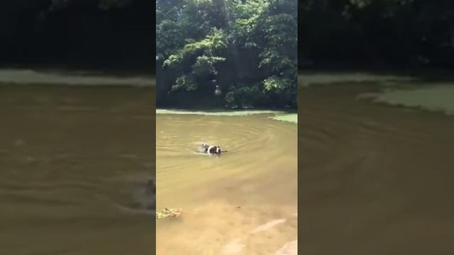 Харитон ч.1. смотреть онлайн