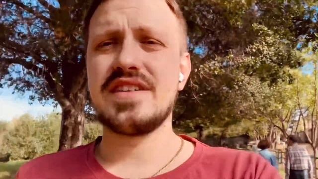 КАК ПЕРЕВЕЗТИ СОБАКУ В США! ЦЕНА, ЛИЧНЫЙ ОПЫТ.???✈️?? смотреть онлайн
