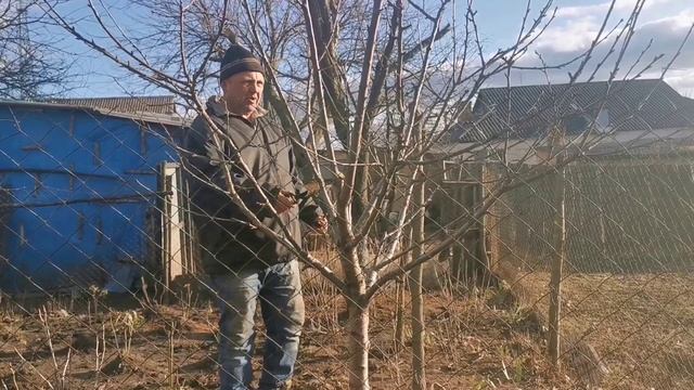 Пилим все деревья во дворе. Весенние игры котов. Жизнь простых людей. Украина. смотреть онлайн