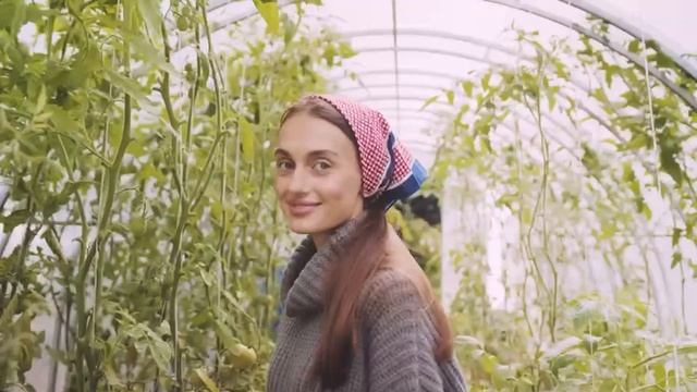 Многие едят ПОМИДОРЫ, но 90% даже не знают о том, ЧТО ТВОРЯТ ПОМИДОРЫ С ОРГАНИЗМОМ...Польза и вред. смотреть онлайн