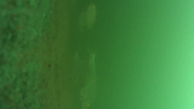 Зимняя рыбалка Оренбург Димитрово смотреть онлайн