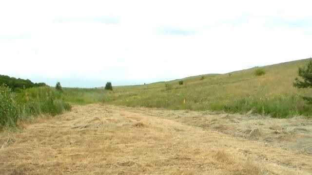 Запорожье . Ставок "ЛАГУНА ".В селе Нижняя Хортица . 2июля 2017г. смотреть онлайн