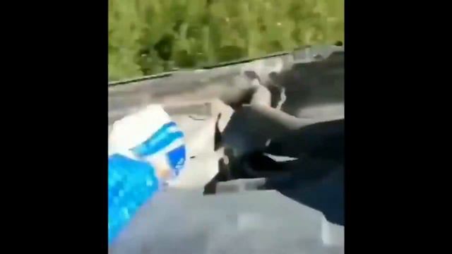 Забугорные Мемы #18 | Ne-Darom | Memes Compilation #18