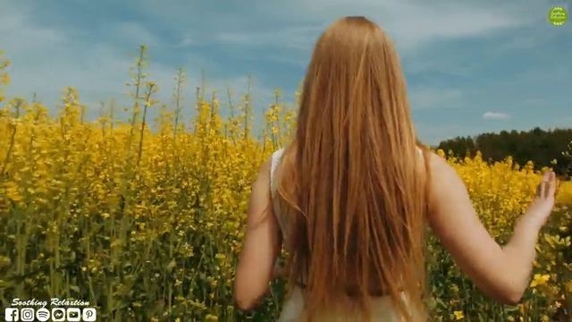 Музыка расслабляет нервную систему, улучшает память ? Лучшие композиции Сергея Грищука! Вальс цвето смотреть онлайн