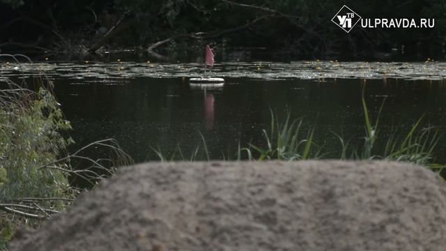 С беседками и байдарками. Когда на Мостовой откроют пляж смотреть онлайн