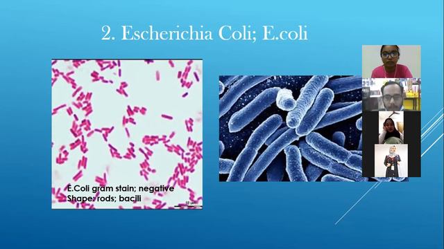 MICROBIOLOGY 3 смотреть онлайн