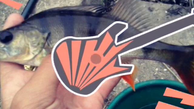 Ловля карася и крупного окуня на живца весной апрель смотреть онлайн