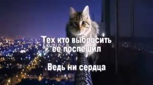 Кошка беспородная (караоке)