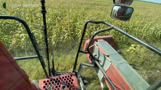 Виготовлення олії у селі Соловка смотреть онлайн