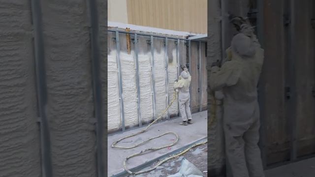 #ппу #пенаполиуретан #30плотность. #ппуташкент #напыление