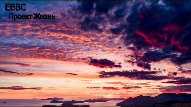 ЕВВС Проект Жизнь 10.Сам не знаю что это смотреть онлайн