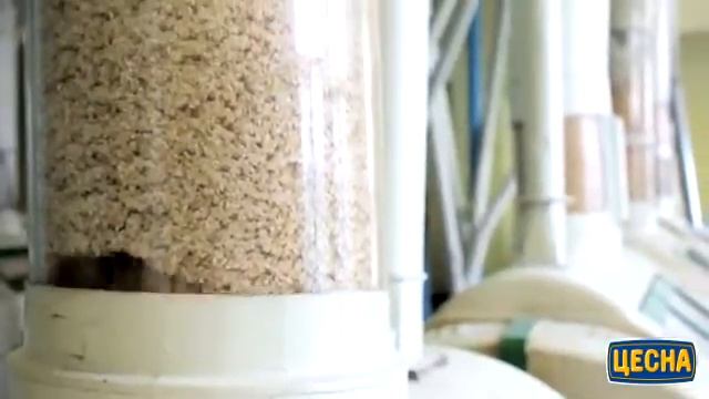 Производство муки «Цесна» смотреть онлайн