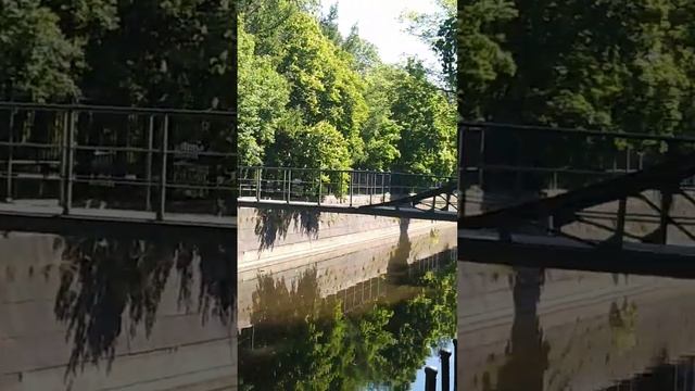 Внимание будьте осторожны в Кронштадте⚓ в центре города рядом с музеем Был замечен серый ? ???????? смотреть онлайн
