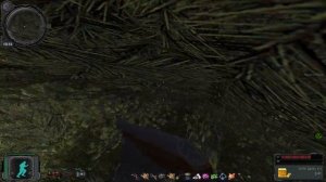 ОП 2.2 Гнездо Арахнидов , Кладка яйиц Арахнидов .